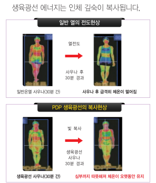 바이오포톤테라피 이미지
