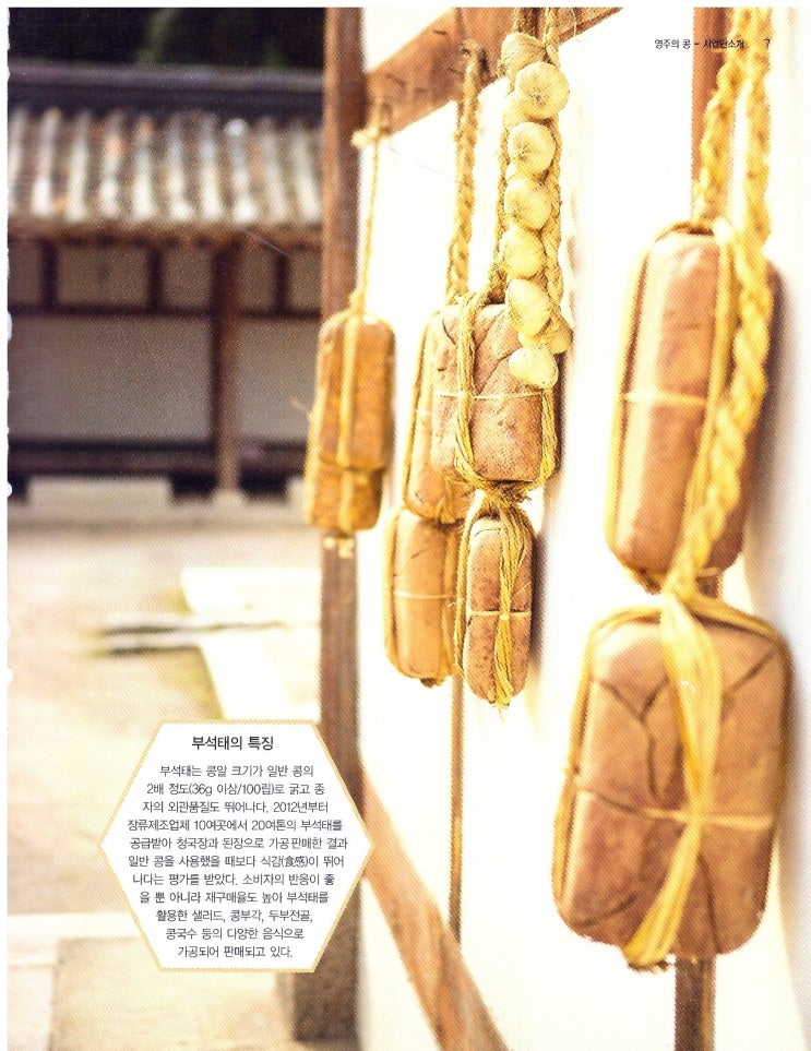 법인소백산마을 이미지