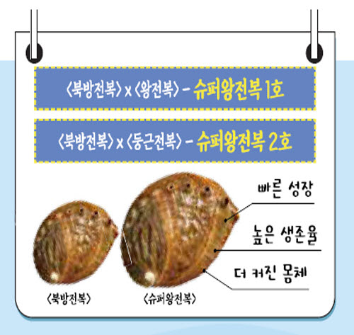 해양슈퍼 이미지