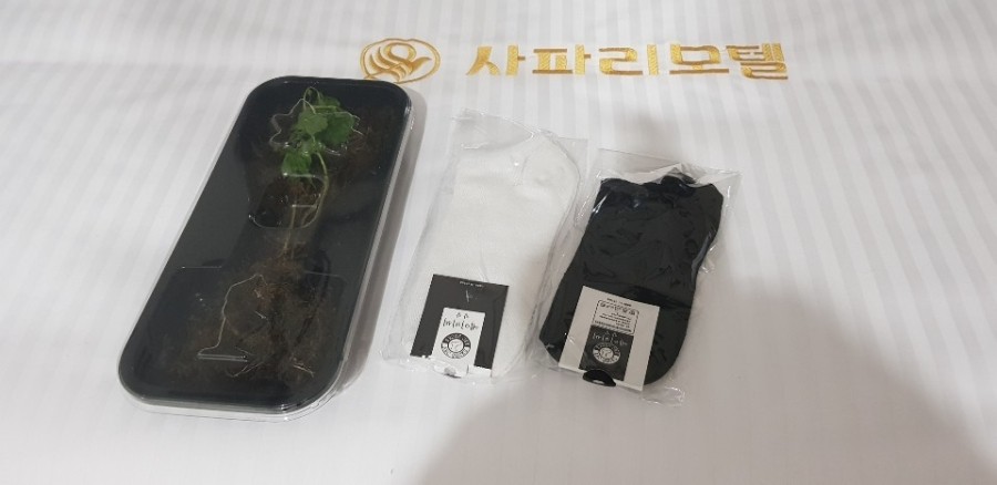 사파리모텔 이미지