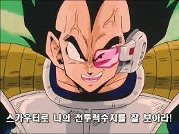 브레인스카우트 이미지