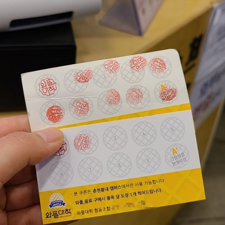 와플대학춘천봄내캠퍼스 이미지