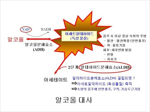 (주)피코엔텍 이미지