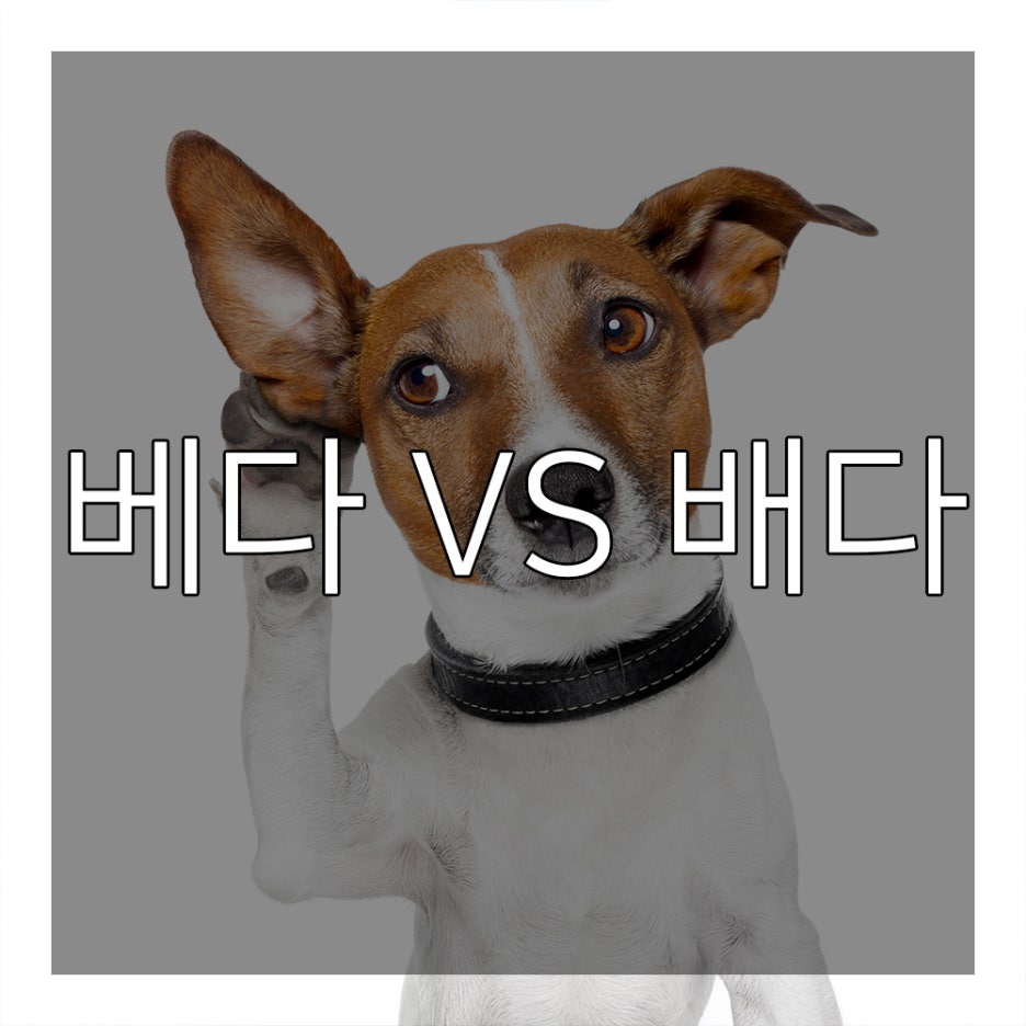 연세아이나라치과의원 이미지