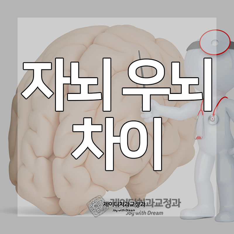 좌뇌 우뇌 기능 차이, 역할과 특징까지 알아보기 : 네이버 블로그