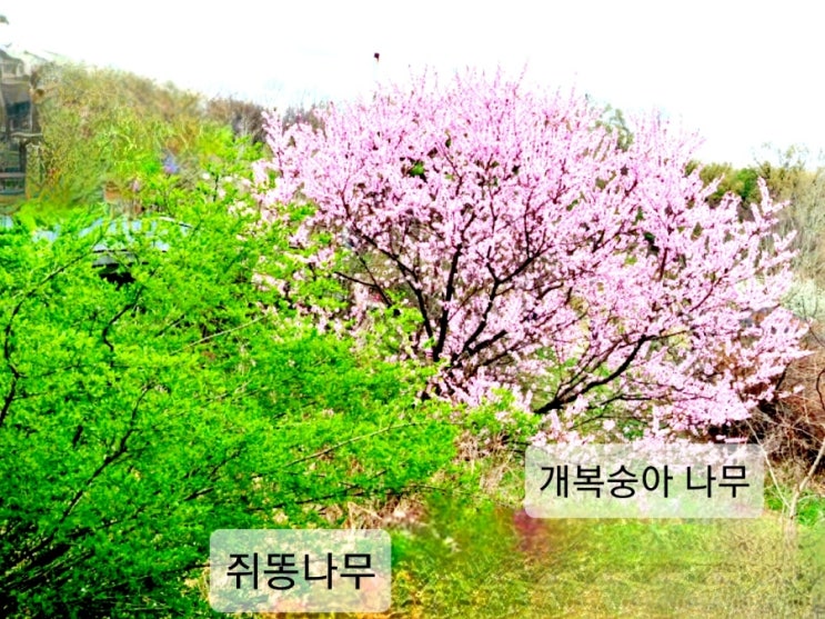 법무법인광명 이미지