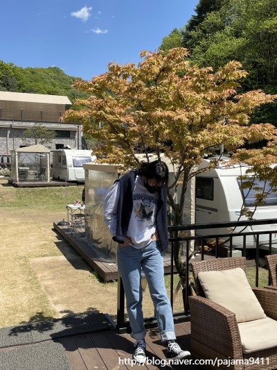초리포레스트 이미지