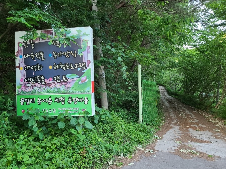 진성민박 이미지