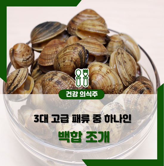 백합 이미지
