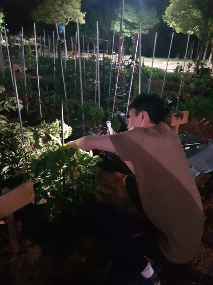 와우곱창 이미지