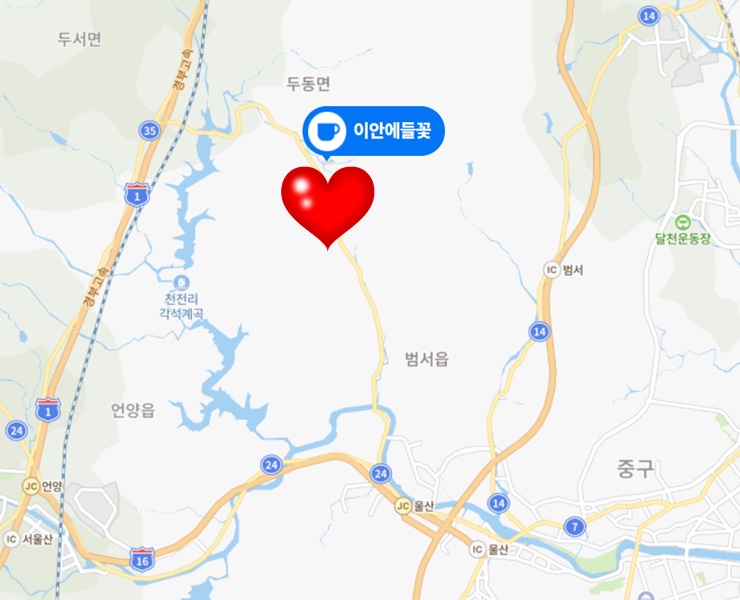 이안에들꽃 이미지