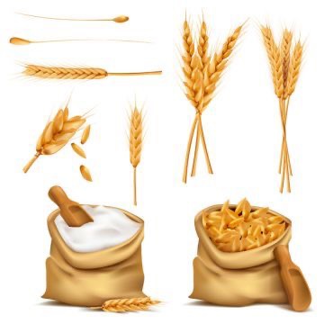 토리샘 이미지