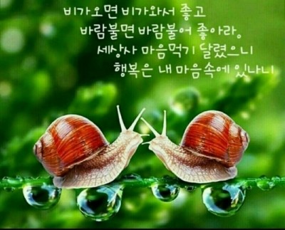 2-1.비가오면_비가와서좋고.jpg