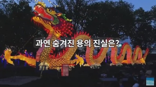용된다 옷 이미지