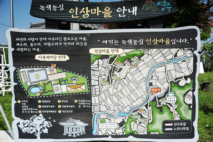 녹색농심인삼마을 이미지