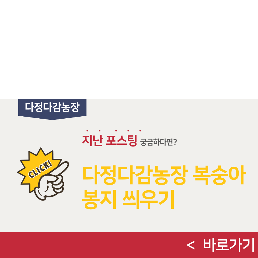 피자마루충북 이미지