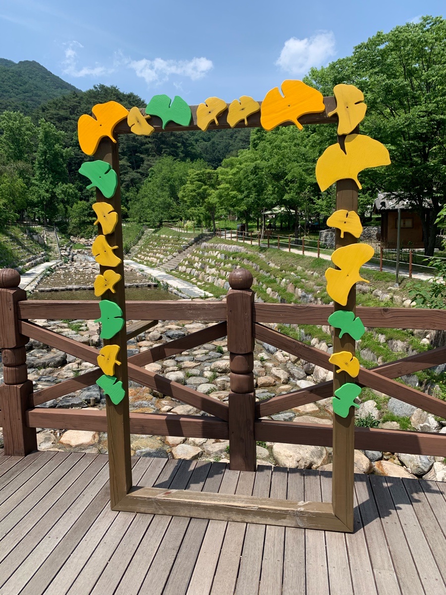 세무회계세흥 이미지