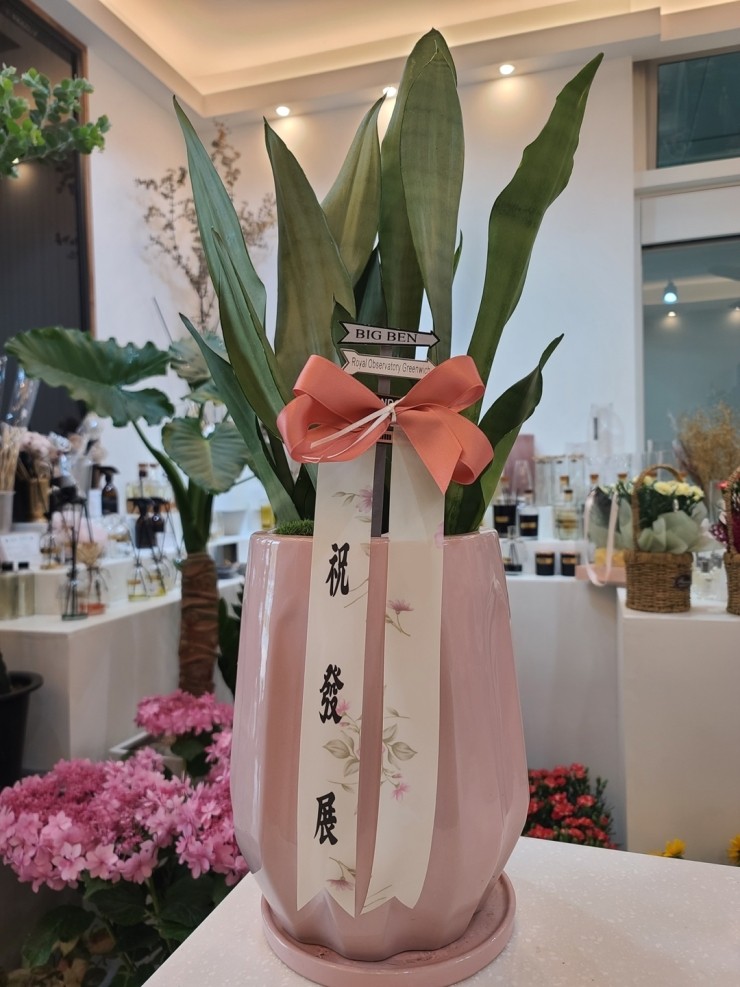 우리꽃배달 이미지