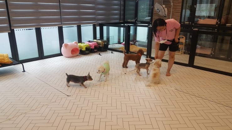 여의도유치원 이미지