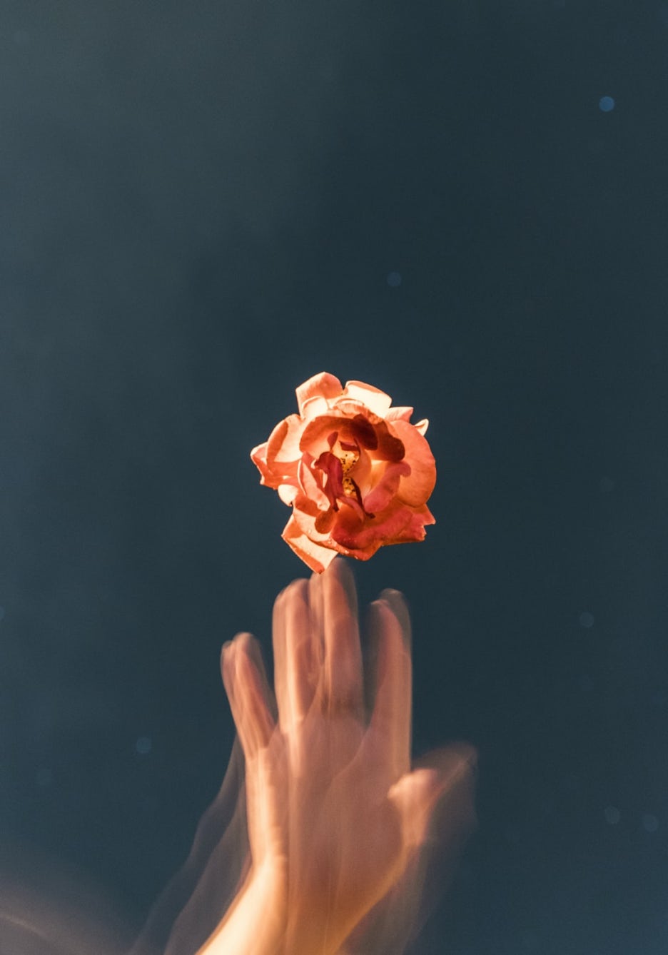 꿈달음 이미지