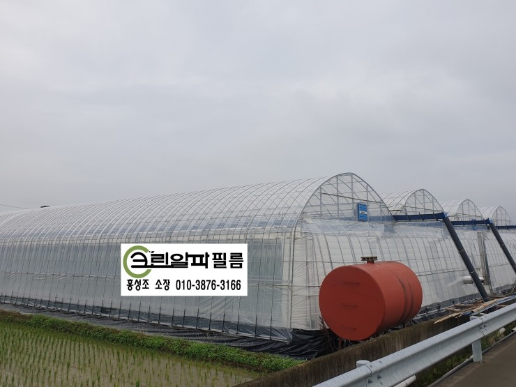 크린알파필름 이미지