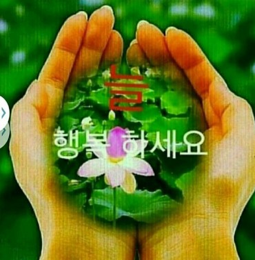 2.손인사-3.jpg