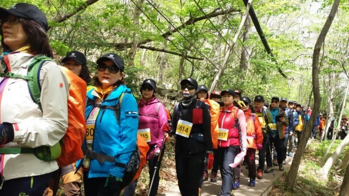 조은산림 이미지