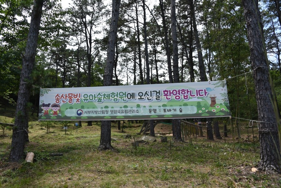 송산물빛 유아숲체험원 이미지