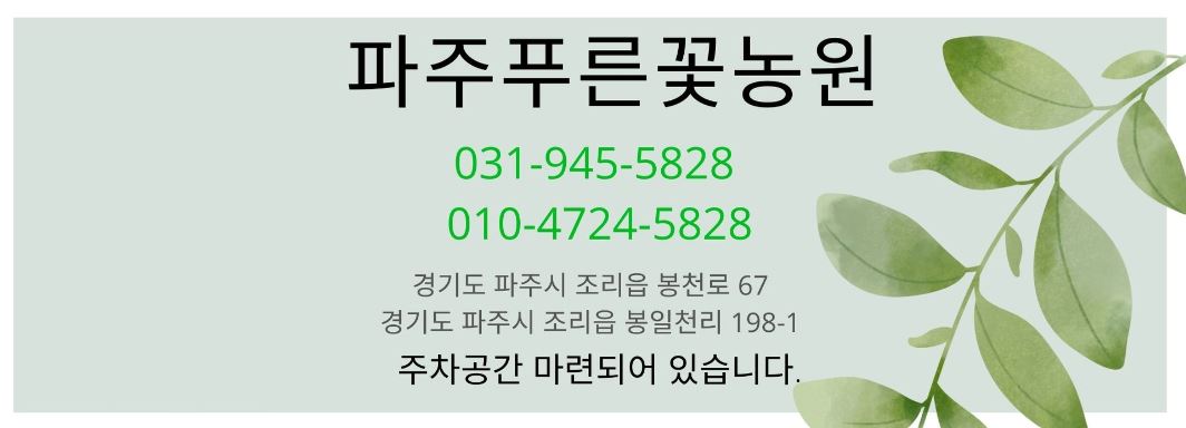 행운꽃농원 이미지