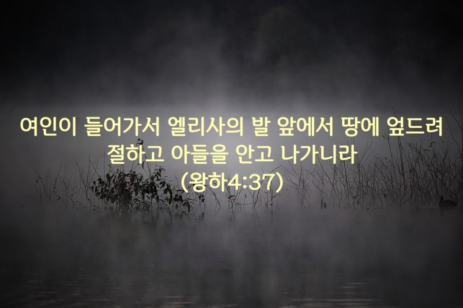 6월23일(수) 순전한 수넴 여인 : 네이버 블로그