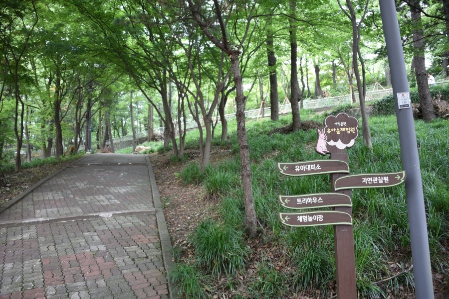 사직공원 유아숲체험원 이미지