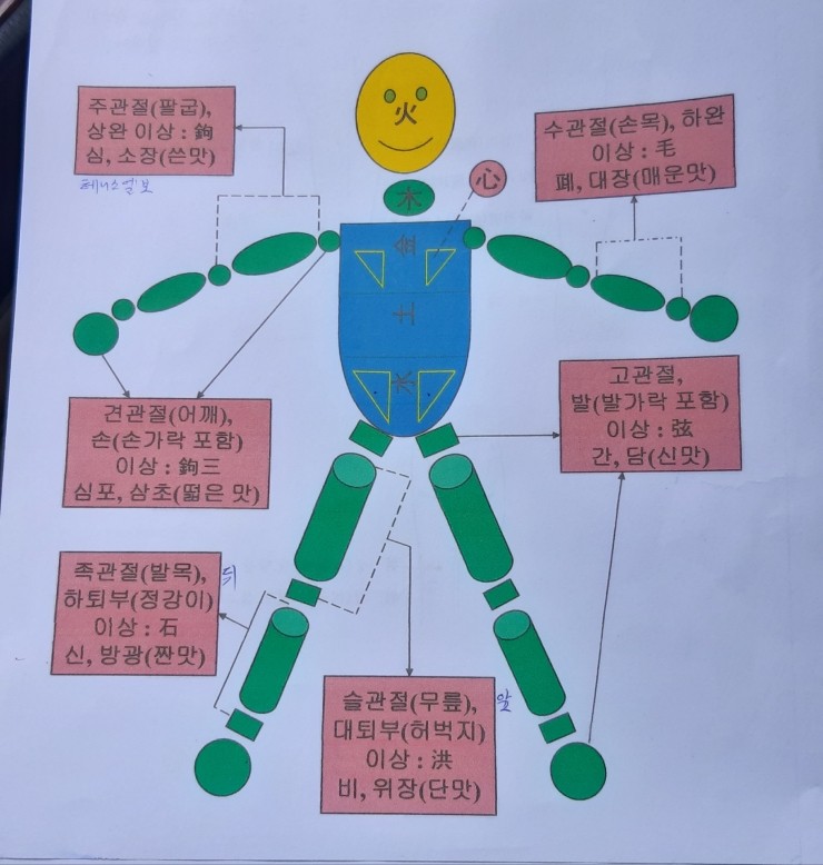 선재생활건강 이미지