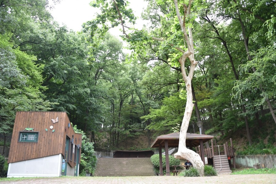 사직공원 유아숲체험원 이미지