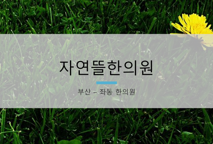 자연뜰한의원 이미지
