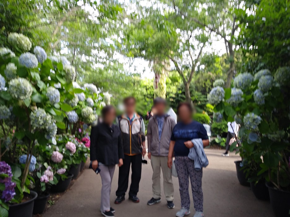렌트투어주 이미지