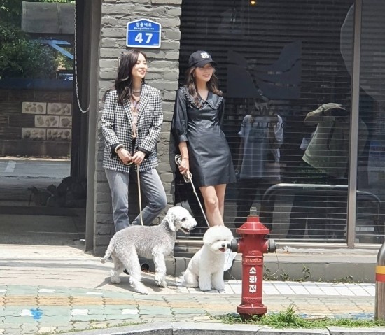 부동산스튜디오 이미지