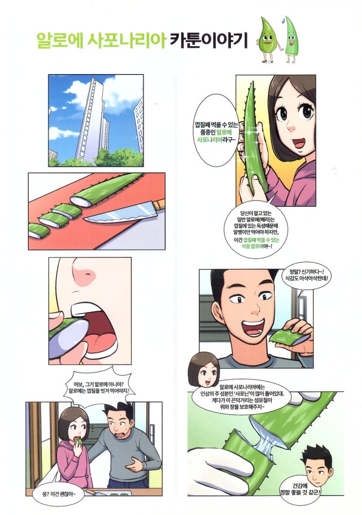 하늘아삭(주) 이미지