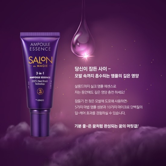 살롱드진 이미지