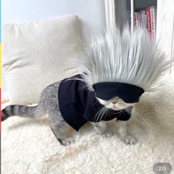 사토루 이미지