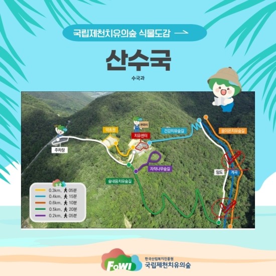 제천 치유의 숲 이미지