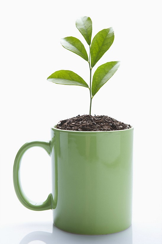 그린에너지 이미지