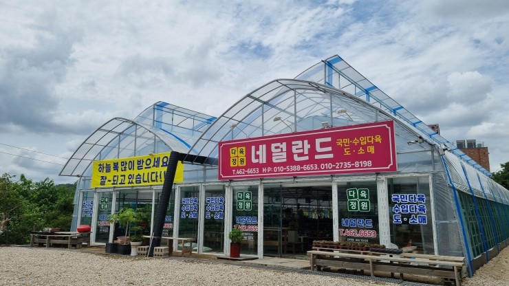 다육정원네덜란드 이미지
