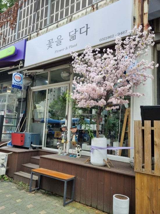 꽃을닮다 이미지