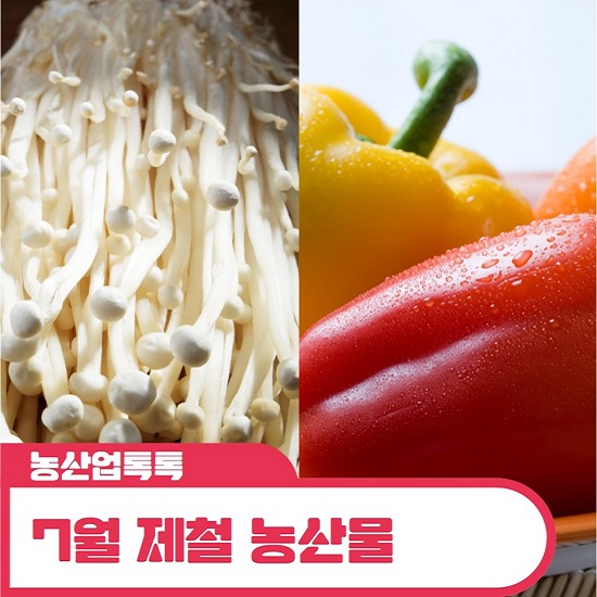 마루농산물 이미지