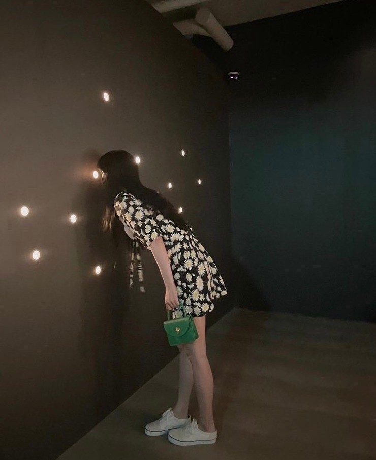 하이데이지 이미지