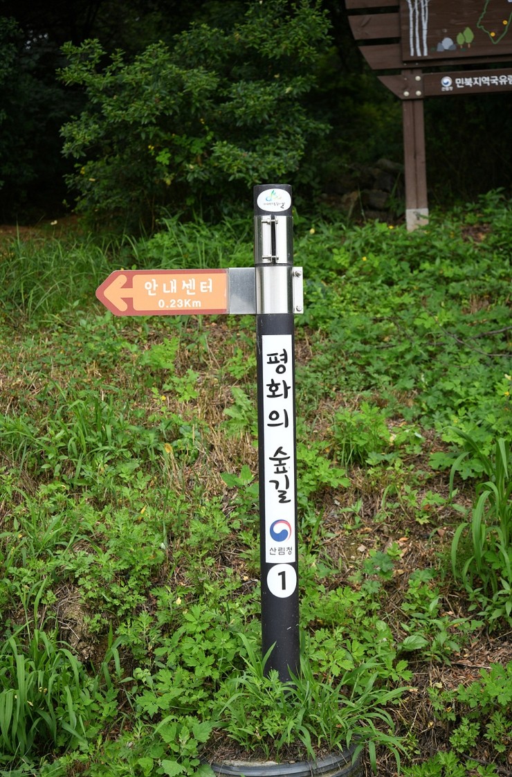 평화숲 이미지