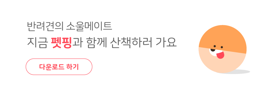 핑샵 이미지