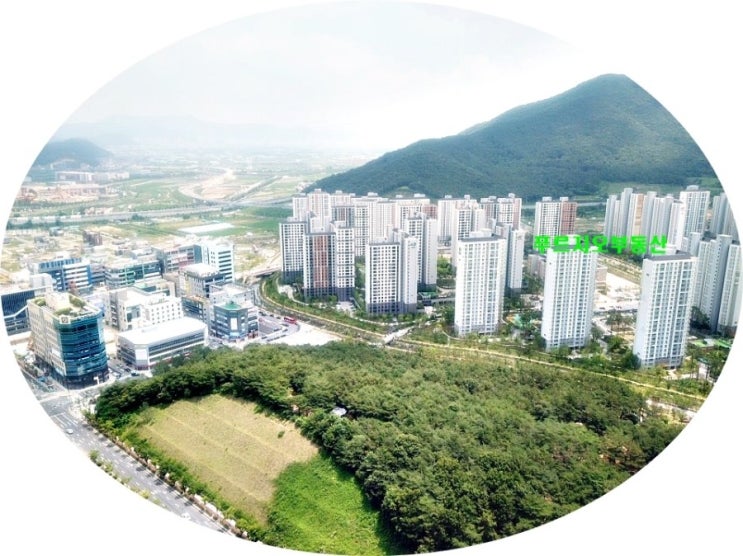 모산마트정육점 이미지