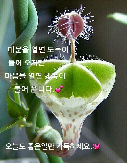 2-1.대문을_열어놓읍면.jpg