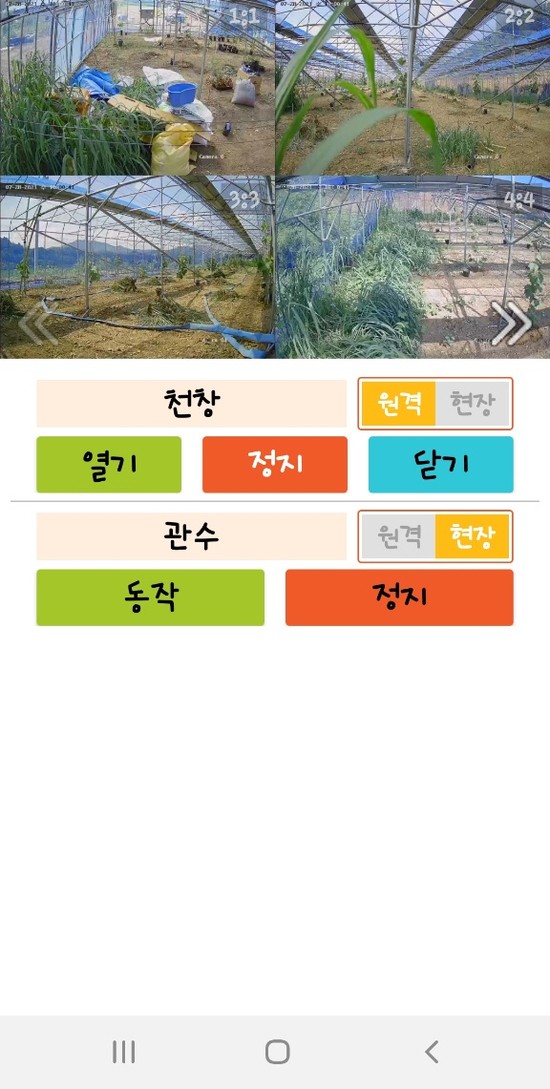 조*열 이미지